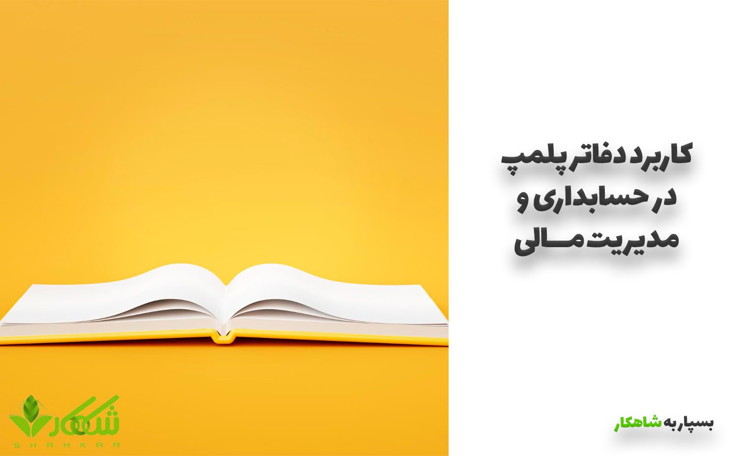 کاربرد دفاتر پلمپ در حسابداری و مدیریت مالی