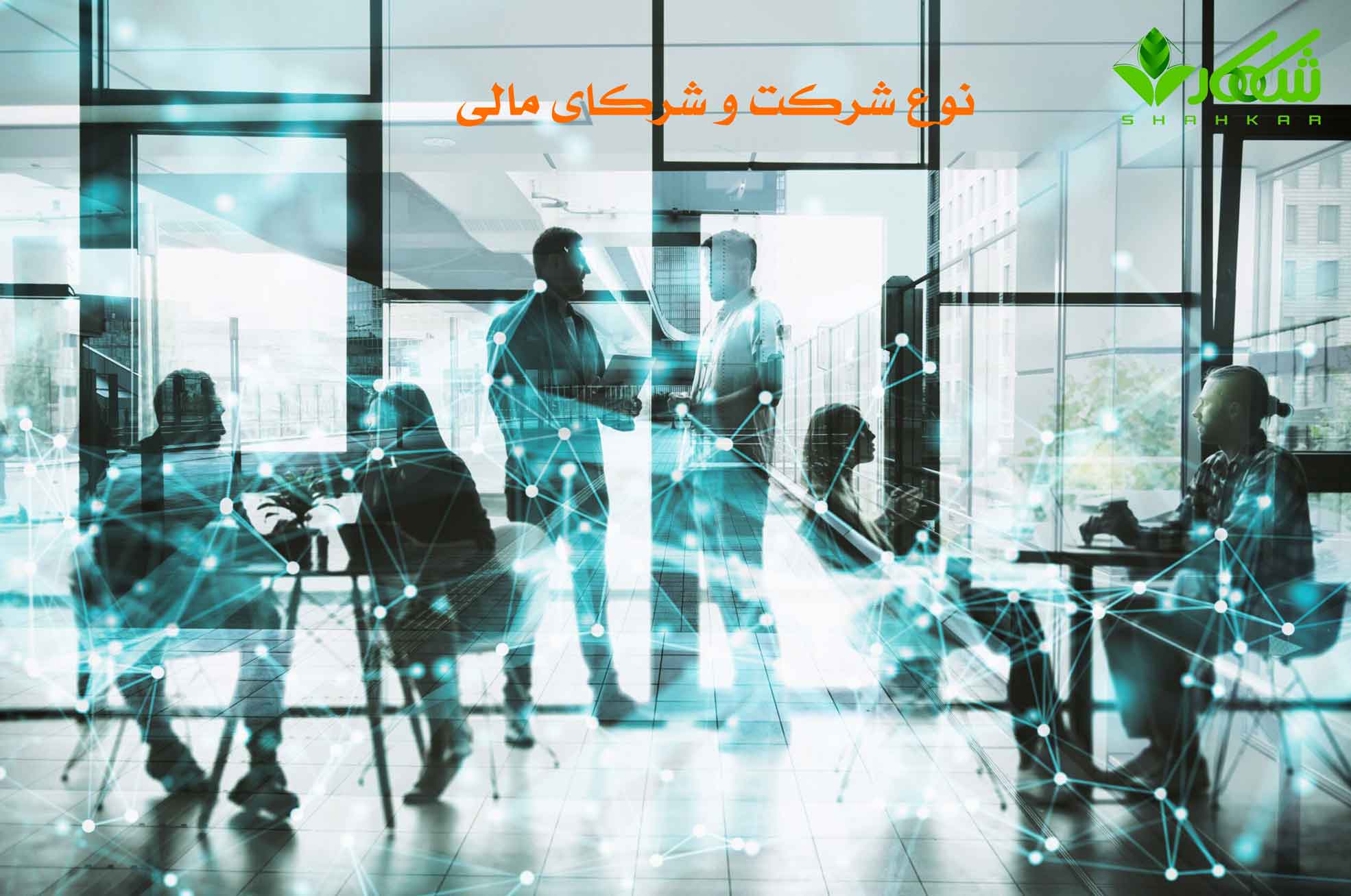 تأثیر انتخاب نوع شرکت بر مالیات و تعهدات قانونی شرکا | راهنمای جامع 1 نوع شرکت و شرکای مالیاتی